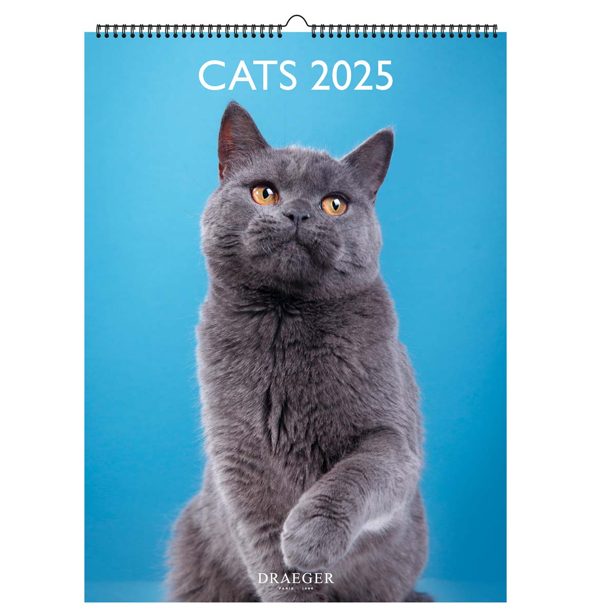 Paper diary and calendars 2024 – Draeger Paris