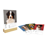 Calendrier Socle Bambou Annee Theme Photos Chiens 2024