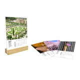 Calendrier Socle Bambou Annee Theme Photos Jardins 2024