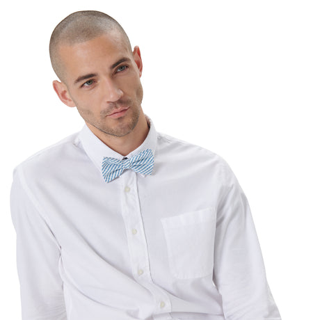 Blue and white striped bow tie
