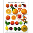 Affiche Agrumes, ATELIER NOUVELLES IMAGES 24x30 cm