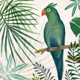Jungle Parrot Canvas