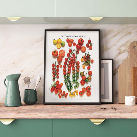 Poster Tomatoes - R. Phillips