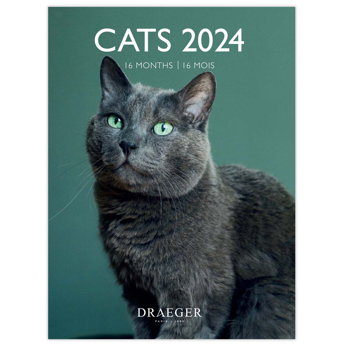 Calendrier 2024 Chats - 15.5 x 18 cm