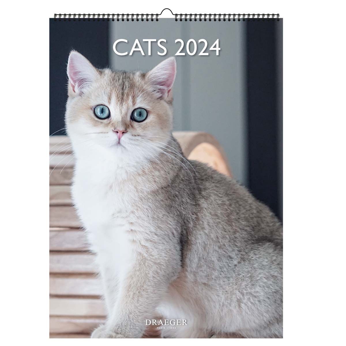 Calendrier mural 2024 Chats