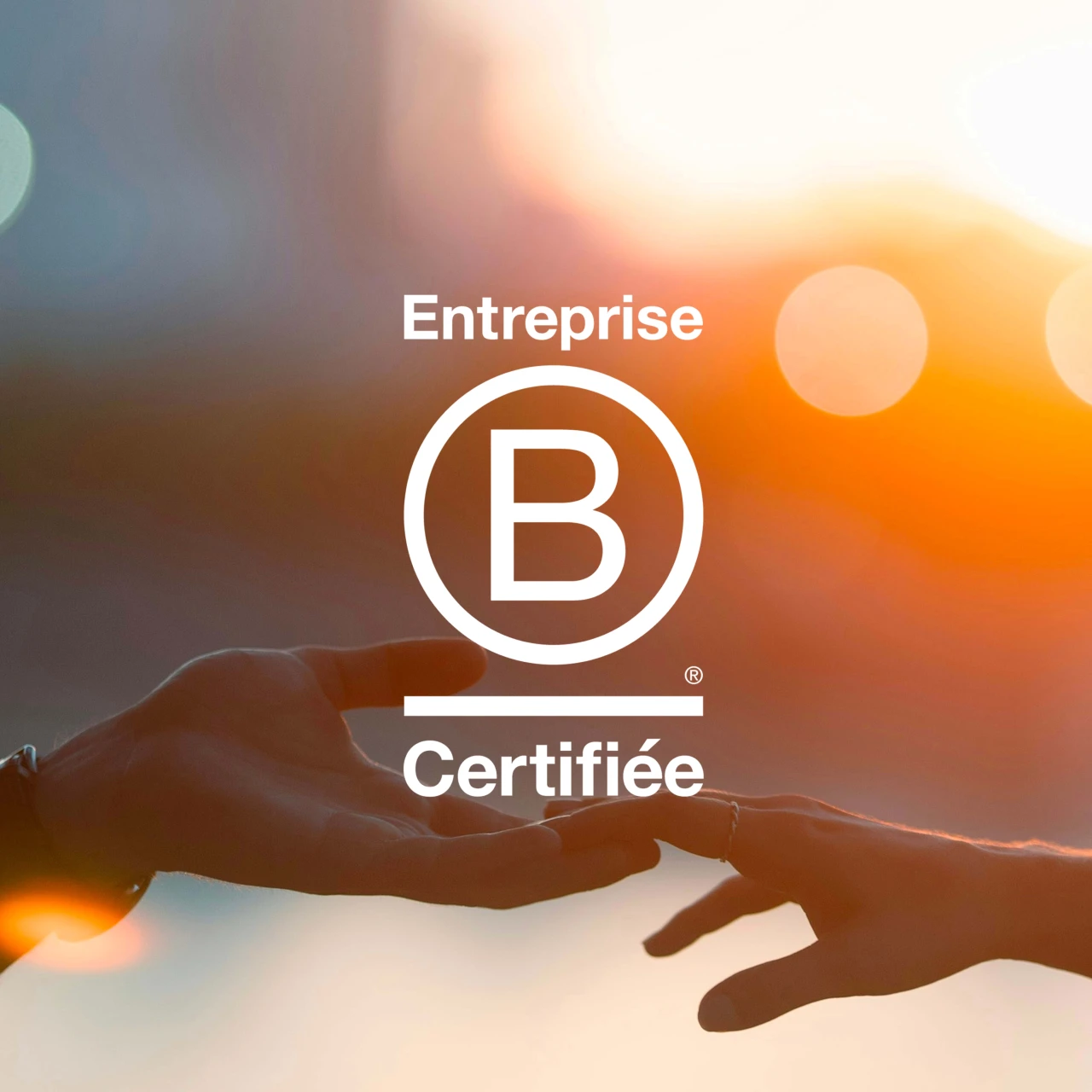 Entreprise Certifiée B Corp - Draeger Paris